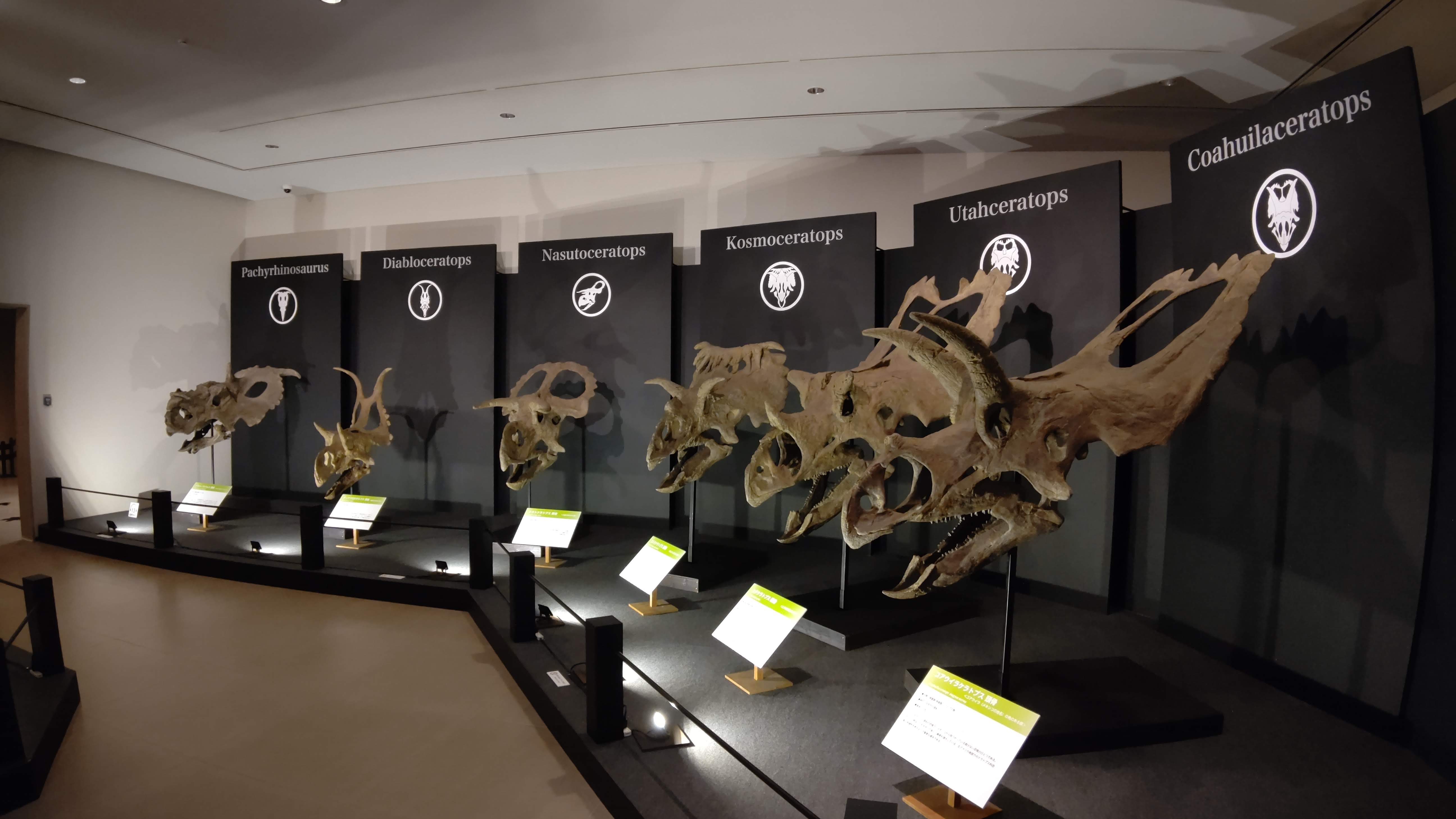 佐川美術館 企画展　大恐竜展 GREAT DINOSAUR EXHIBITION