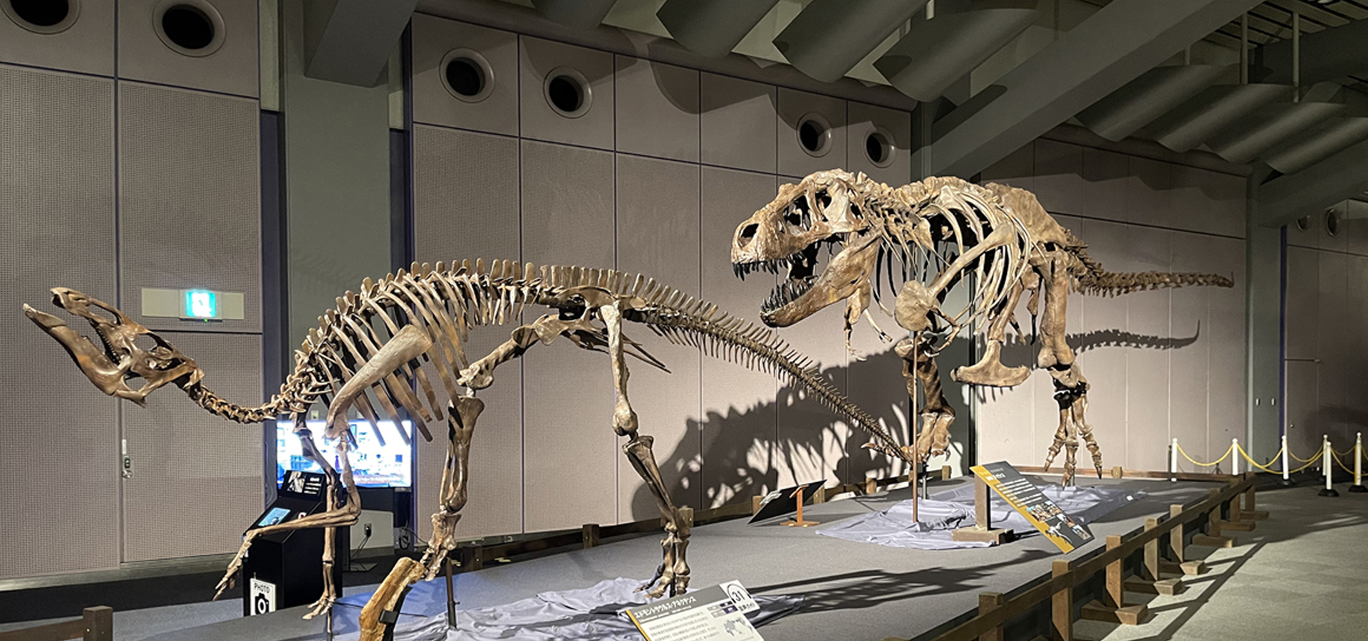 大阪南港ATCホール ティラノサウルス展 ～T. rex 驚異の肉食恐竜