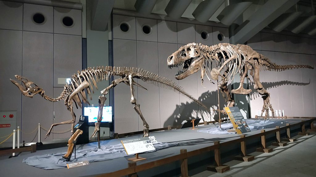 大阪南港ATCホール　ティラノサウルス展 ～T. rex 驚異の肉食恐竜～