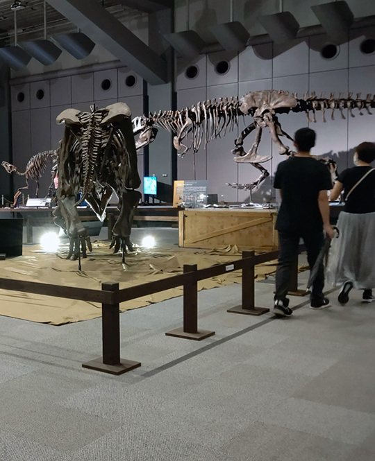 大阪南港ATCホール　ティラノサウルス展 ～T. rex 驚異の肉食恐竜～