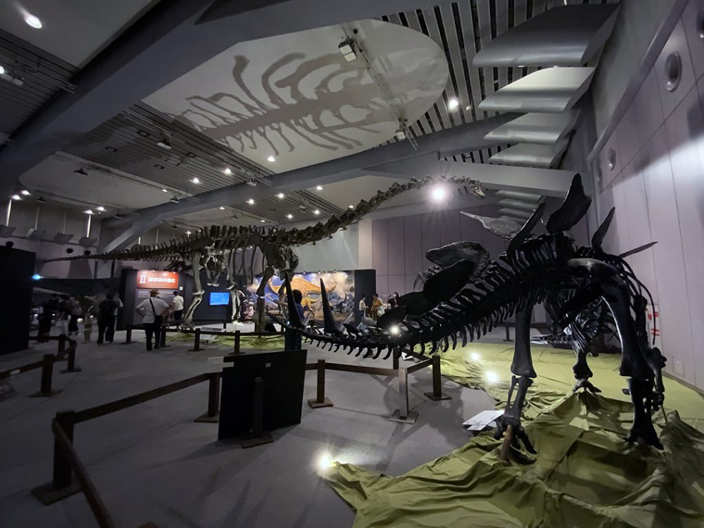 大阪南港ATCホール　ティラノサウルス展 ～T. rex 驚異の肉食恐竜～