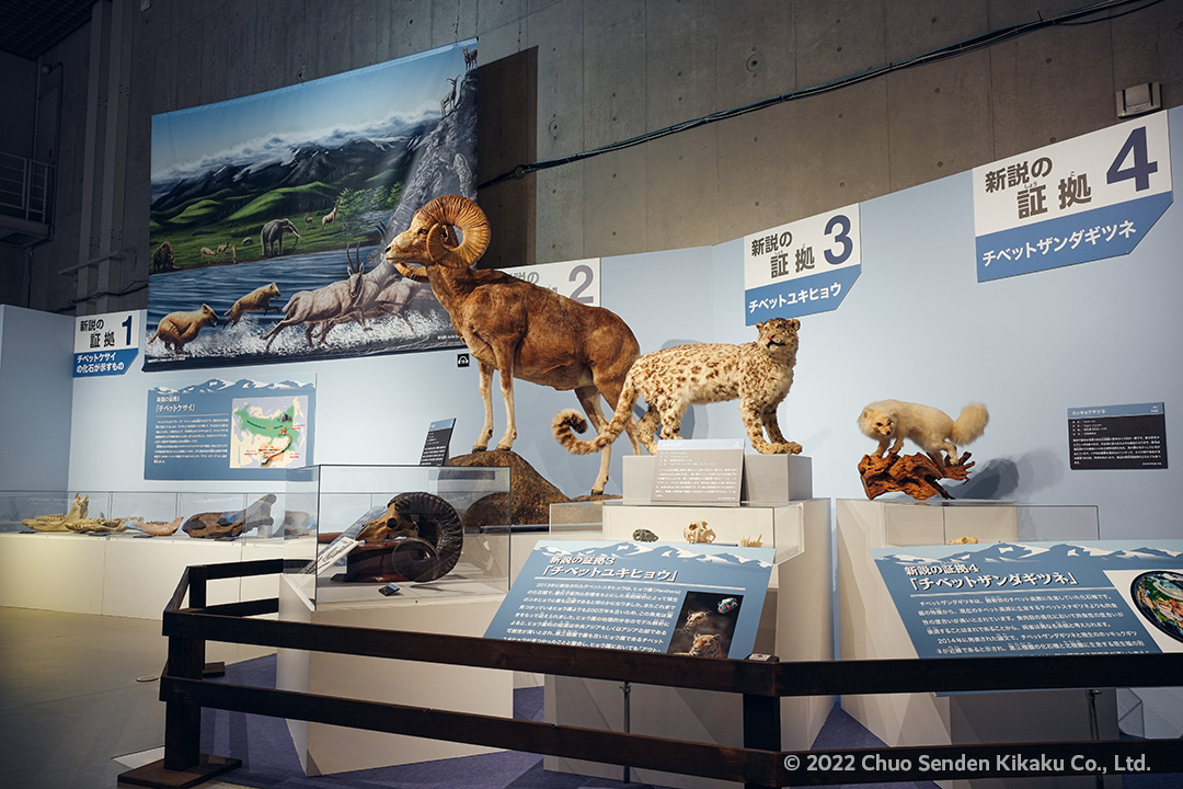 化石ハンター展、国立科学博物館特別展