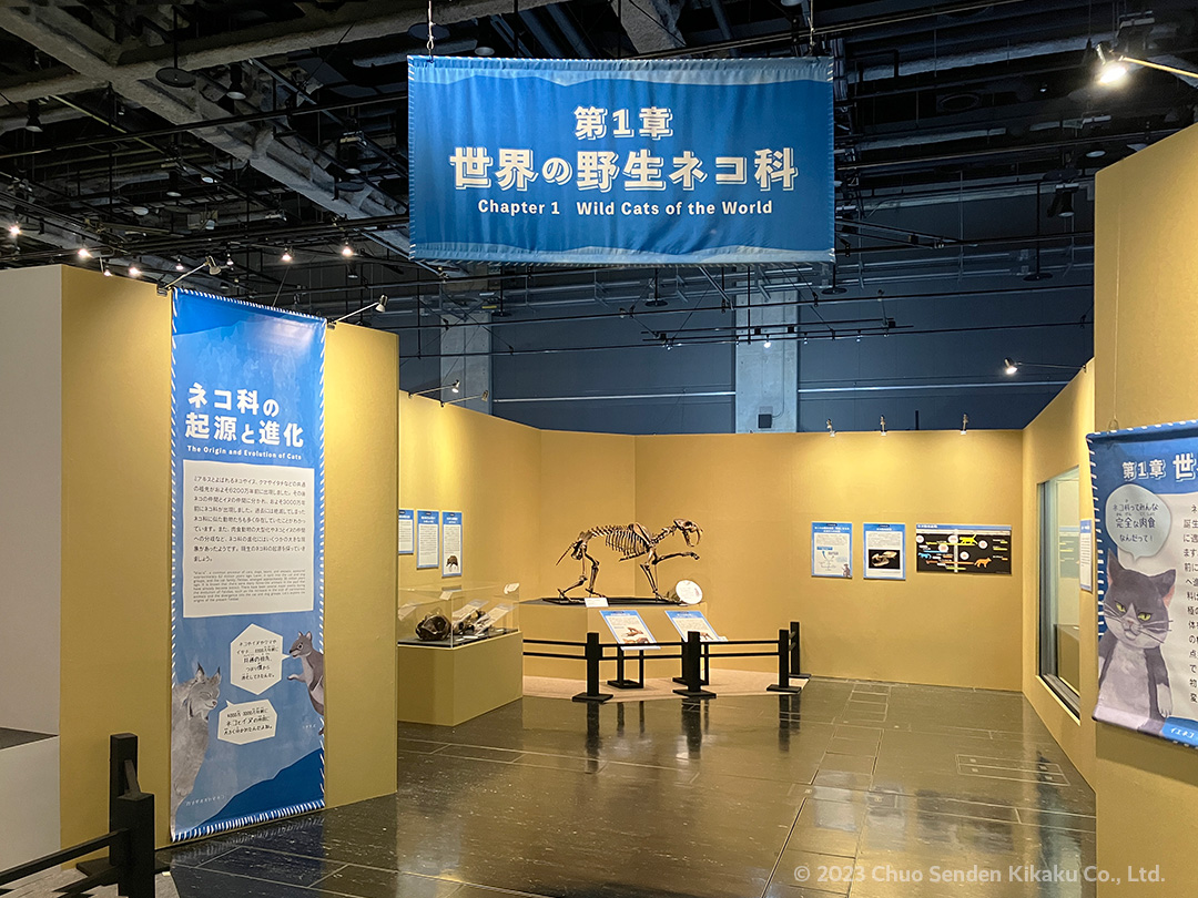 特別展ネコ、名古屋市科学館