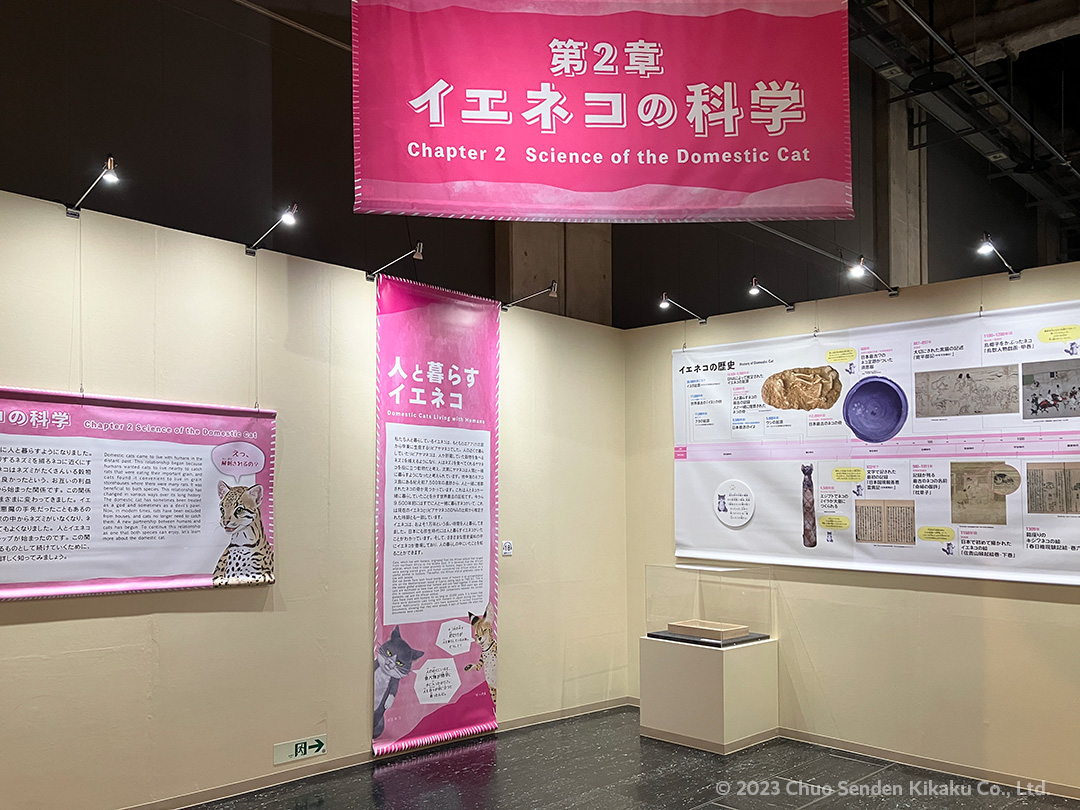 特別展ネコ、名古屋市科学館