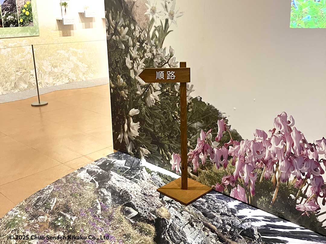 高山植物、国立科学博物館