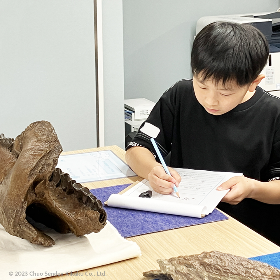 夏休み自由研究ワークショップ　きて みて さわって恐竜教室