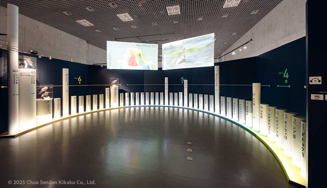 特別展鳥、国立科学博物館