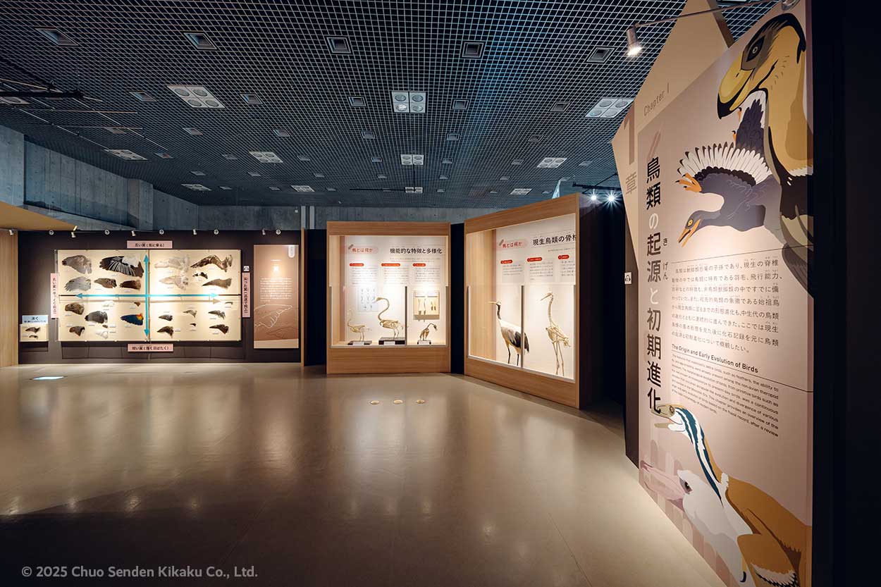 特別展鳥、国立科学博物館