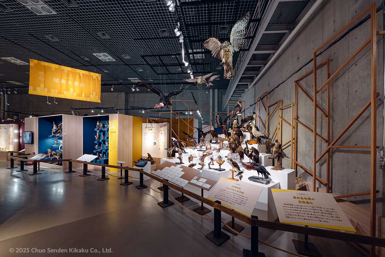 特別展鳥、国立科学博物館