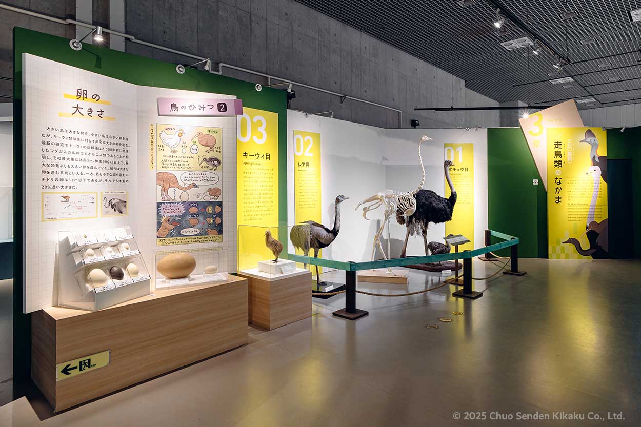 特別展鳥、国立科学博物館