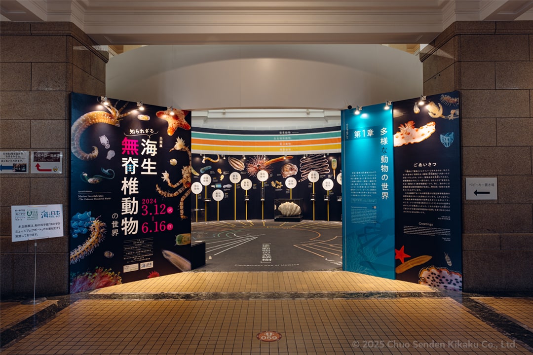 国立科学博物館 企画展「知られざる海生無脊椎動物の世界」