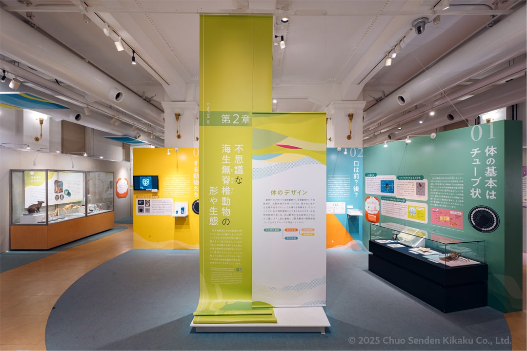 国立科学博物館 企画展「知られざる海生無脊椎動物の世界」