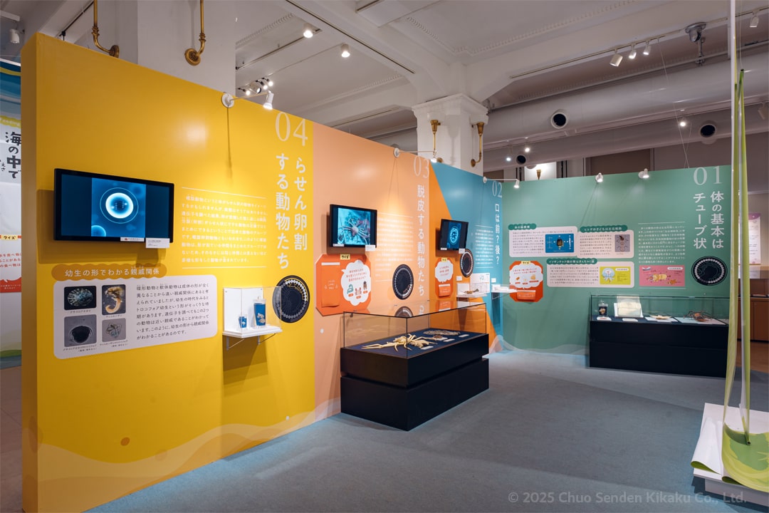 国立科学博物館 企画展「知られざる海生無脊椎動物の世界」